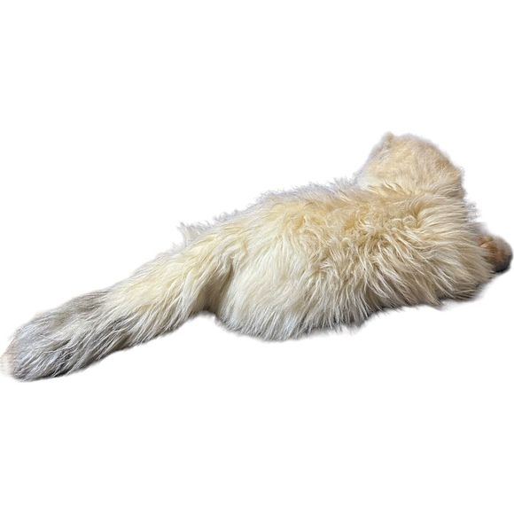 VTG Russ Berrie Yomiko Realistic Himalayan Cat Kitten Green Eyes Korea HTF - Picture 9 of 16